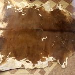 884 9335 COW HIDE